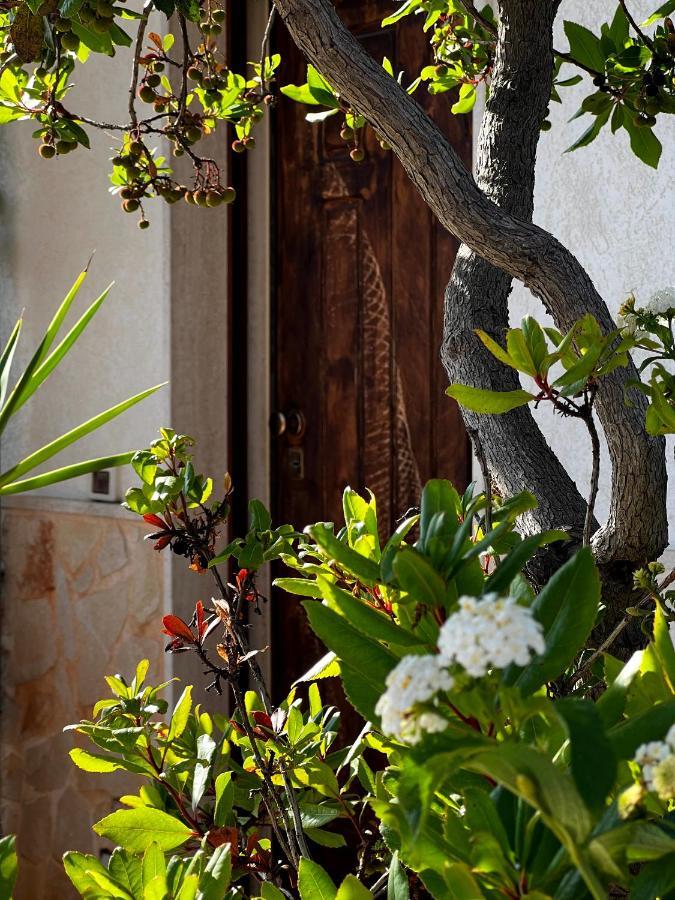 Casa Tesoro Villa Cisternino Exterior photo